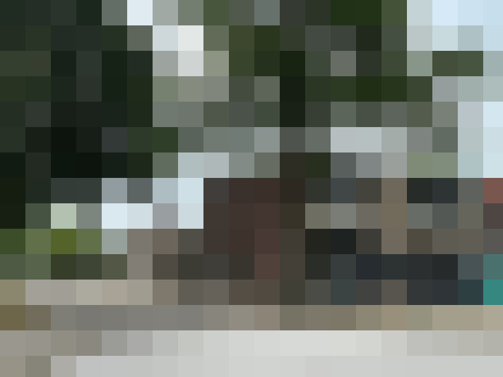  / #15