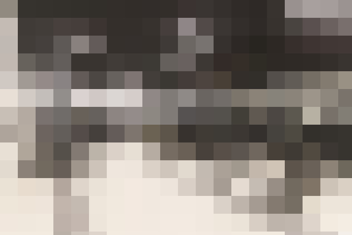  / #23