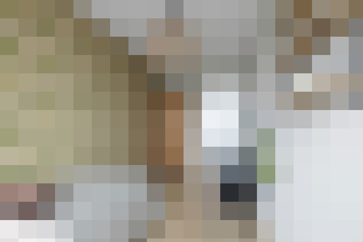  / #20