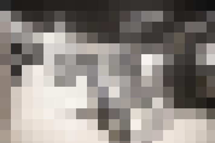  / #25