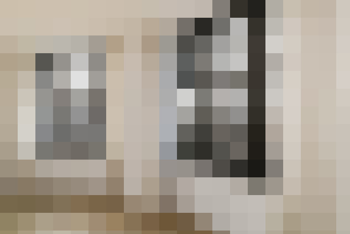  / #20