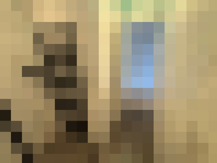  / #19