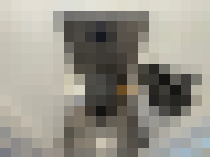  / #20