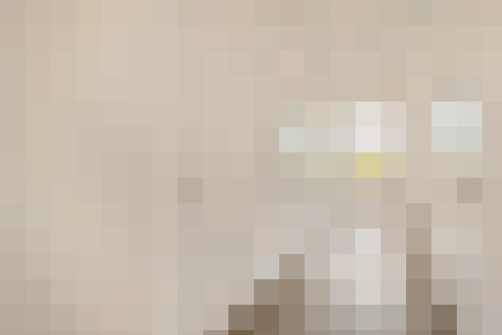  / #11