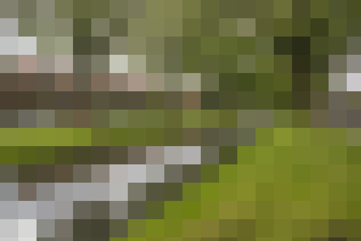  / #33