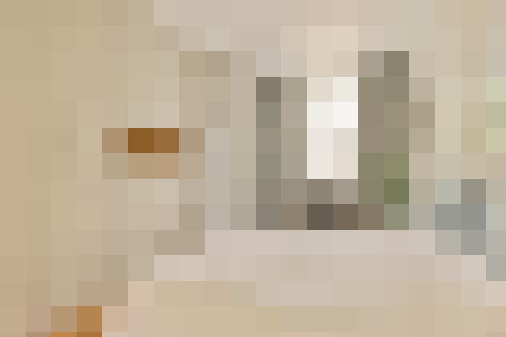  / #17