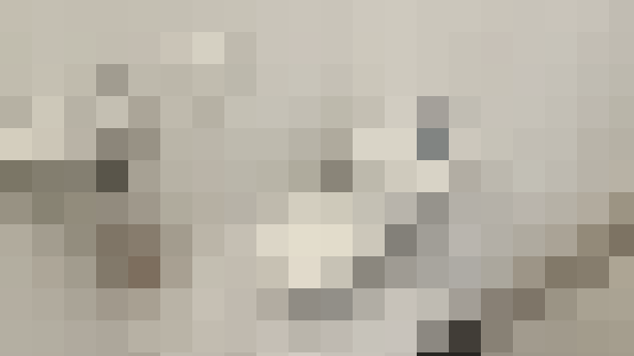  / #19