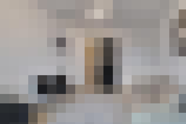  / #14
