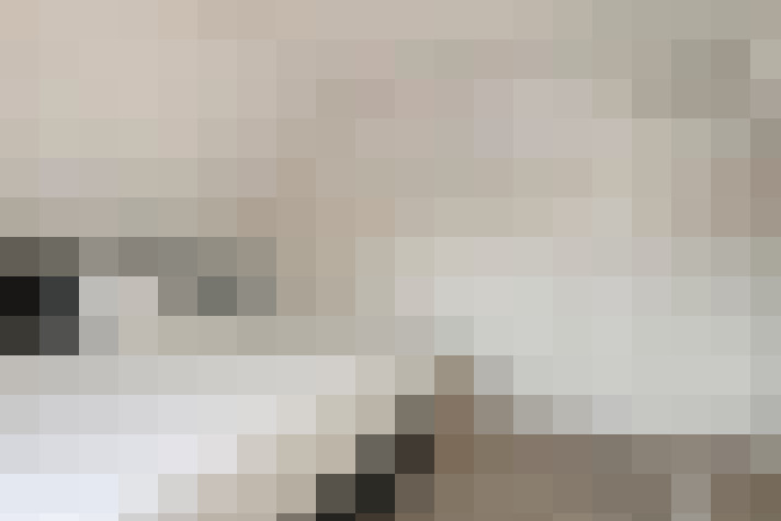  / #29