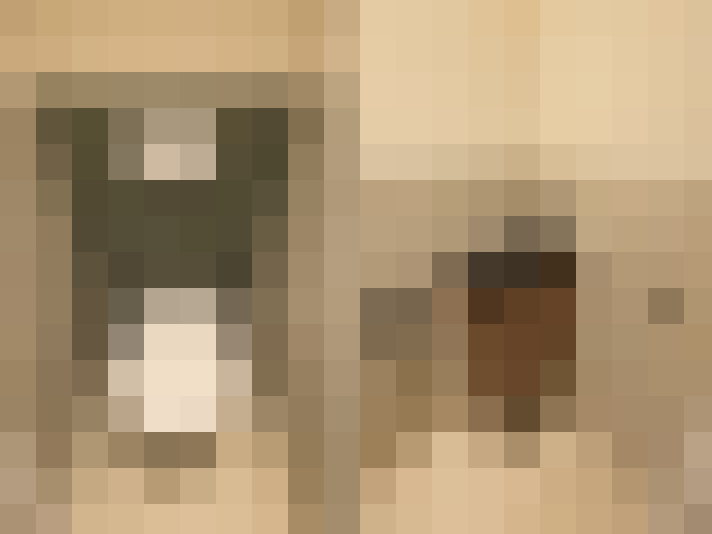  / #19