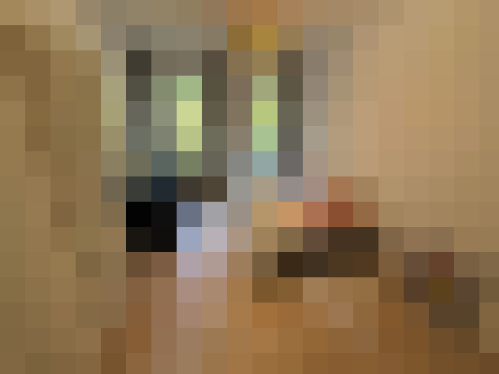  / #16