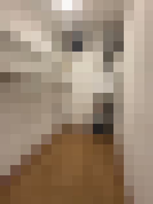  / #29