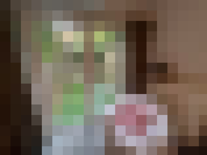  / #21