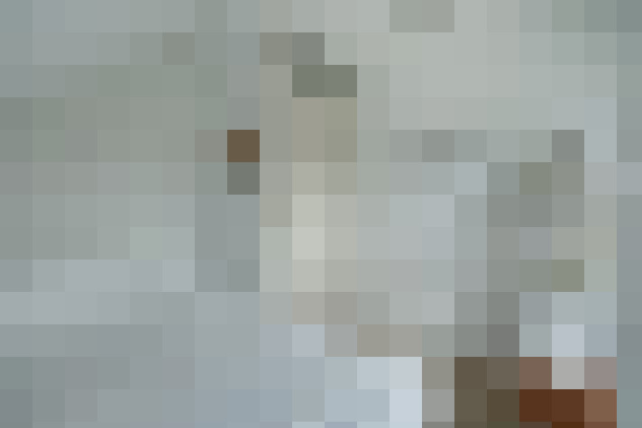  / #66
