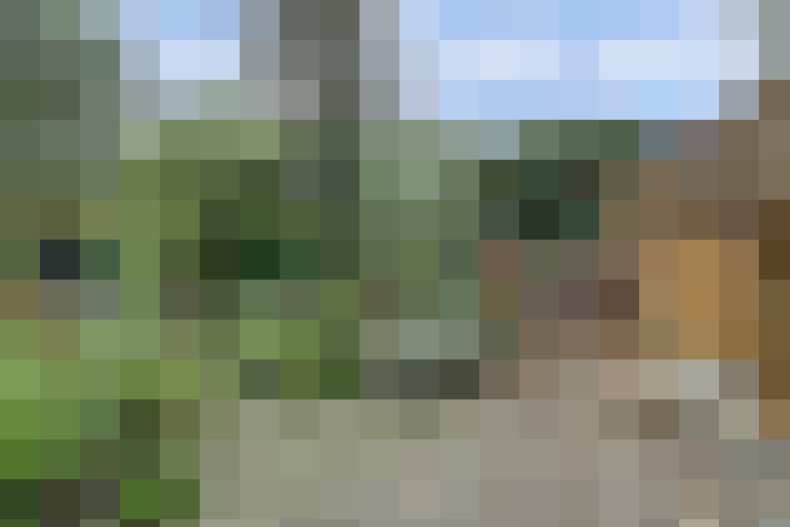  / #98