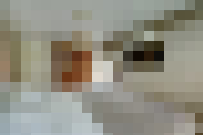  / #58