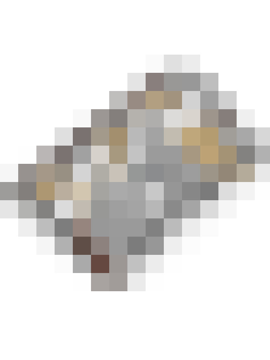  / #61
