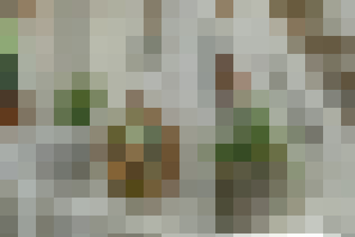  / #34