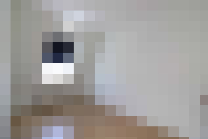  / #13