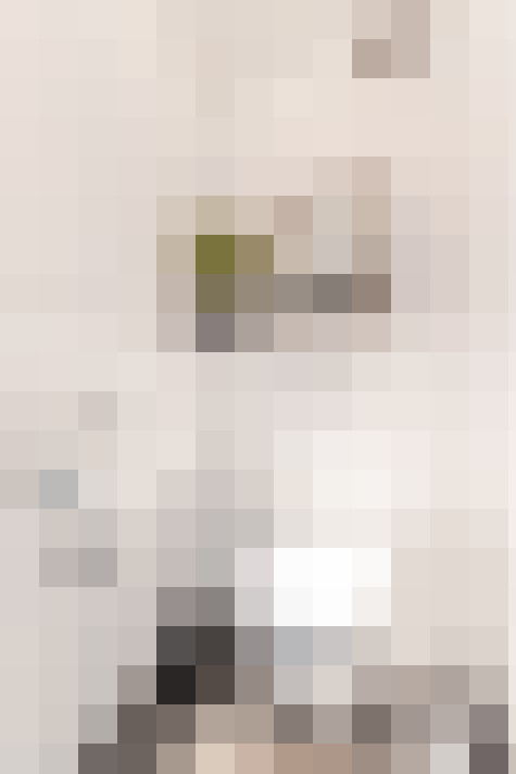  / #34