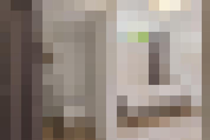  / #15