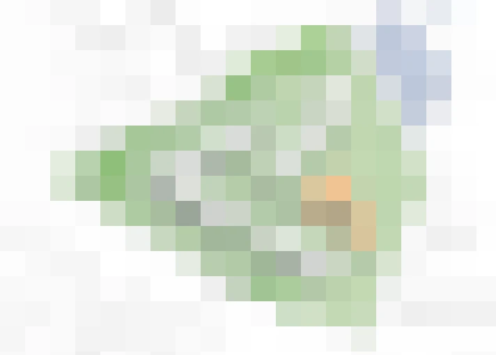  / #19