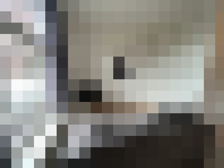  / #8