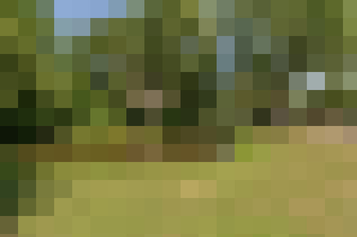  / #61