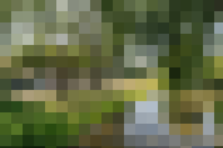  / #64