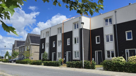 Dom — Hardenberg