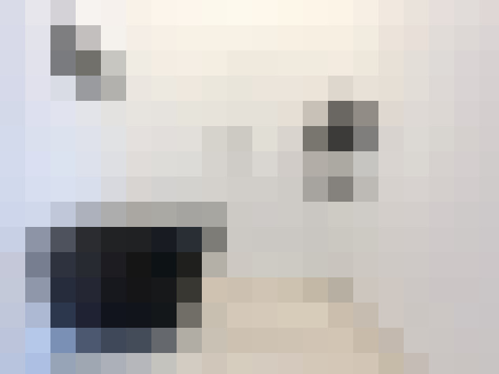  / #15
