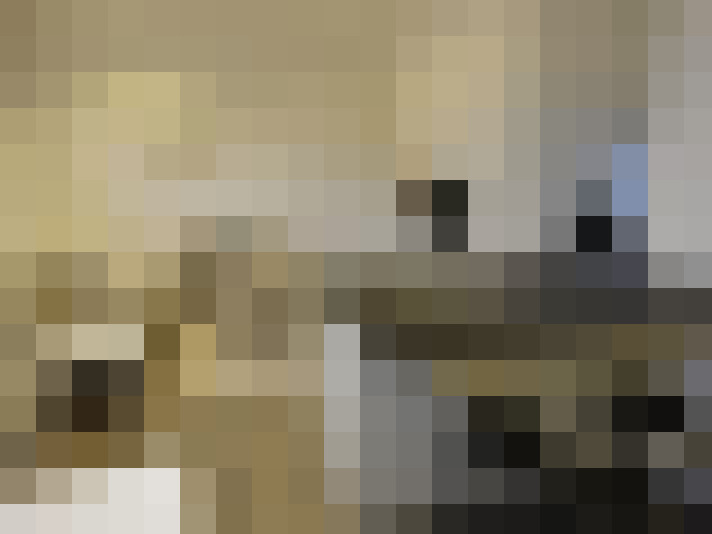  / #9