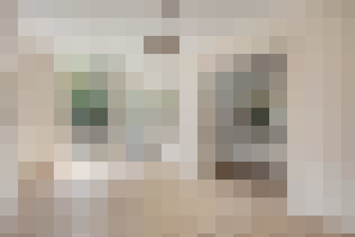  / #15