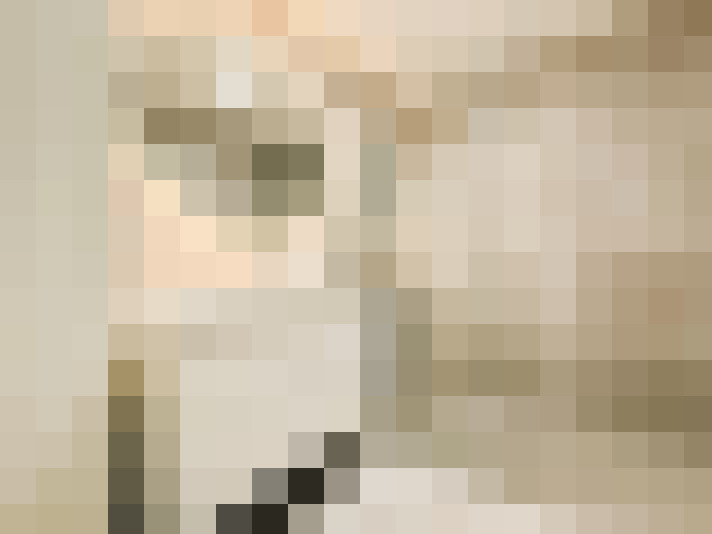  / #19