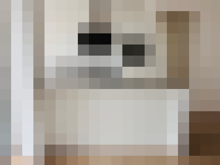  / #13