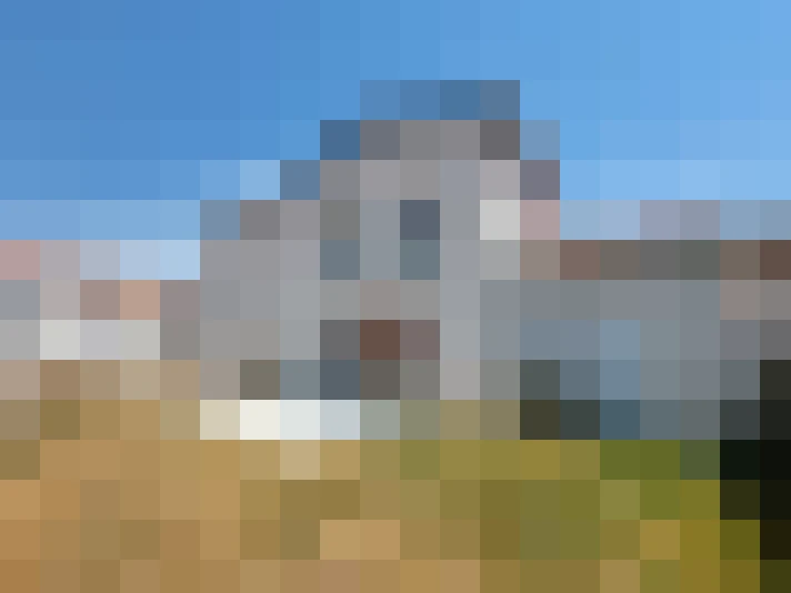  / #10