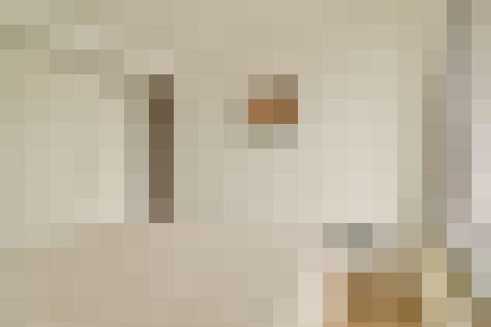  / #19