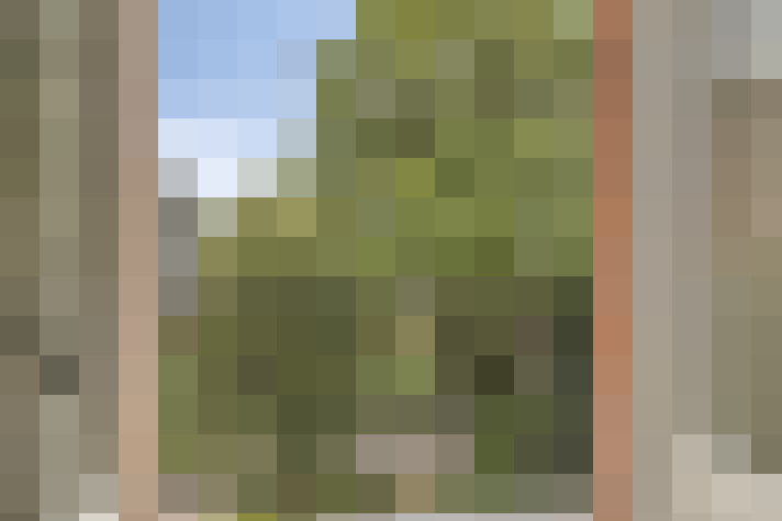  / #15