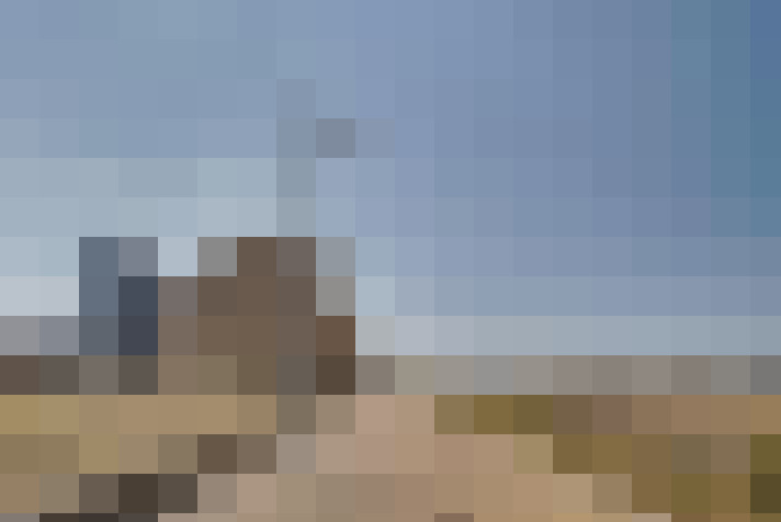  / #74
