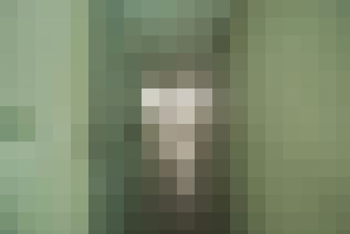  / #67