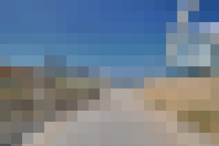  / #81