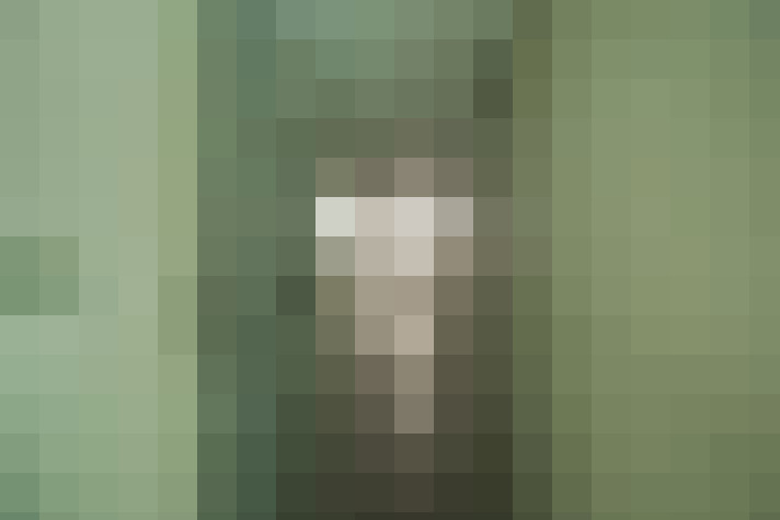  / #68