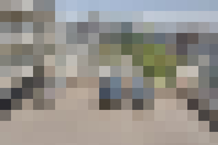  / #66