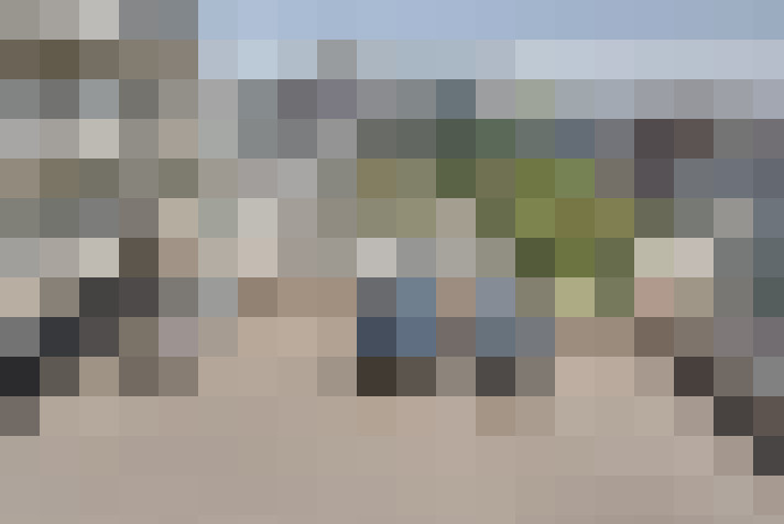  / #65