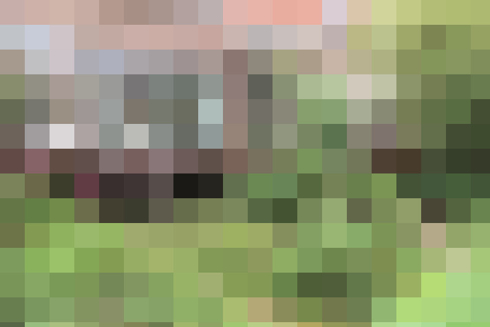  / #14