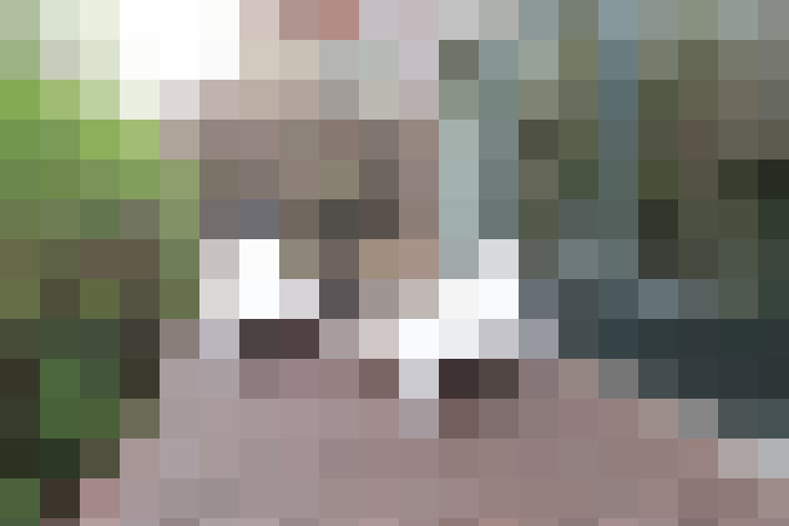  / #13