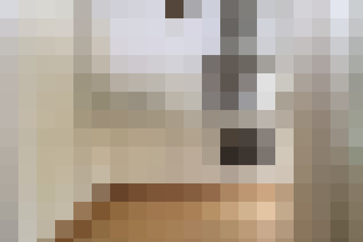  / #11