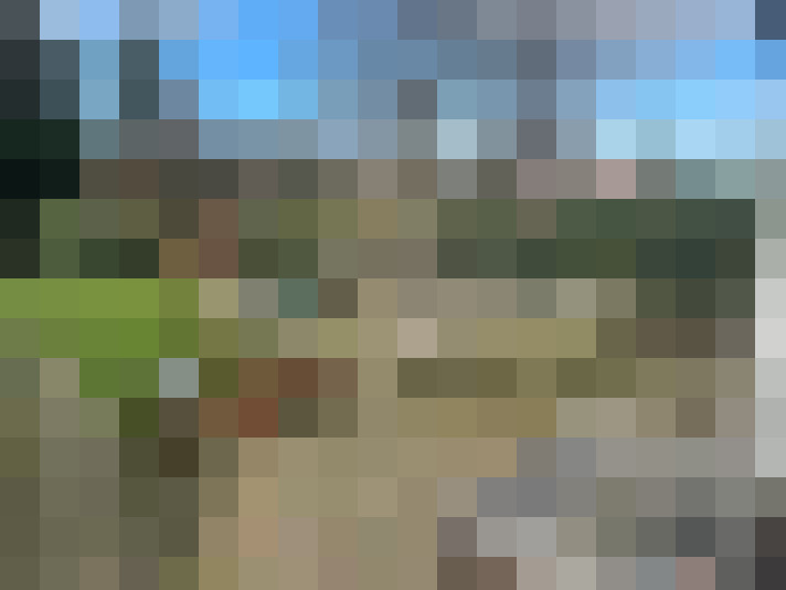  / #7