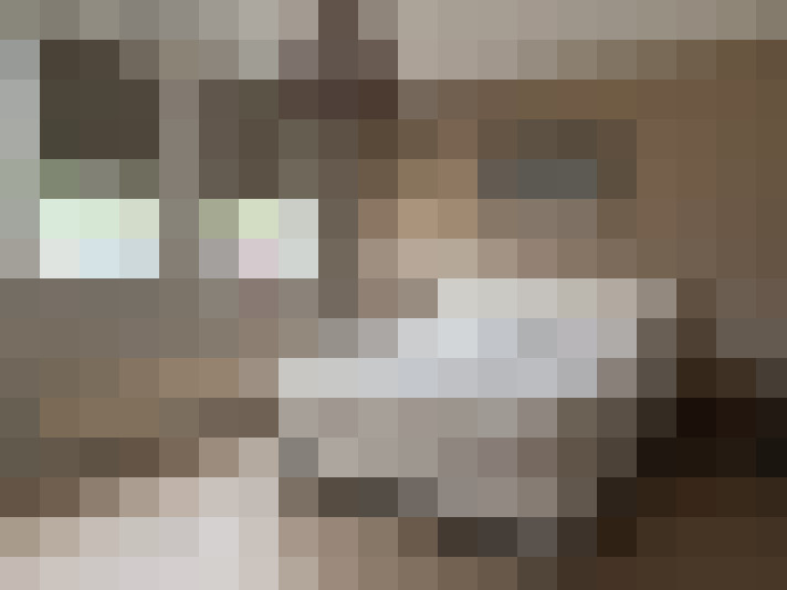  / #19