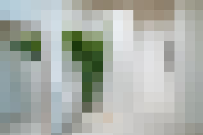  / #11
